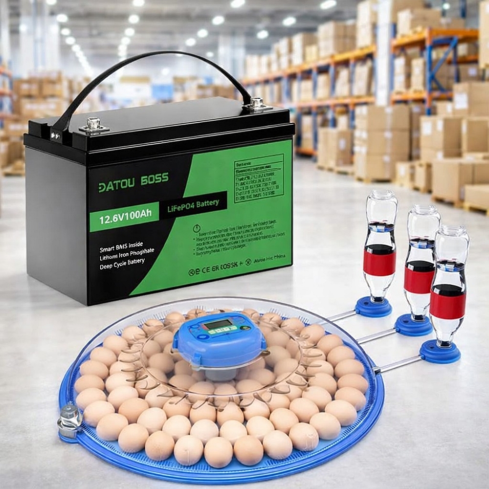 Комплект Інкубатор автоматичний на 80 яєць Vertis (220/12В) для безперервної інкубації+LiFePO4 12V/100Ah акумулятор Datouboss 